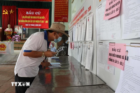 Cử tri Mão Điền (Bắc Ninh) tìm hiểu về danh sách người ứng cử Đại biểu Quốc hội và HĐND các cấp. (Ảnh: Thanh Thương/TTXVN)
