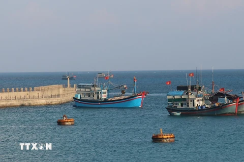 Âu tàu đảo Đá Tây A mỗi ngày có hàng chục lượt tàu thuyền của ngư dân vào neo đậu tránh trú gió và thực hiện các dịch vụ hậu cần nghề cá. (Ảnh: Sỹ Tuyên/TTXVN)