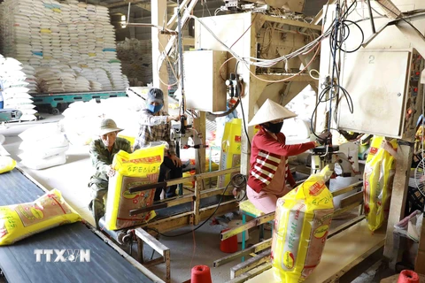 Đóng gói gạo xuất khẩu theo đơn đặt hàng tại nhà máy chế biến lương thực Long An (thuộc Vinafood 2). (Ảnh: Vũ Sinh/TTXVN)