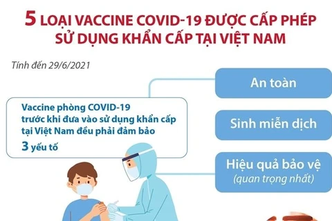 [Infographics] 5 loại vaccine COVID-19 được cấp phép sử dụng khẩn cấp 