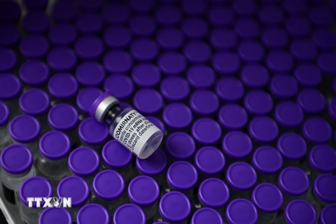 Vaccine ngừa COVID-19 của Pfizer/BioNtech. (Ảnh: AFP/TTXVN)