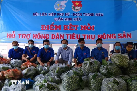 Đoàn Thanh niên thành phố Cần Thơ chung tay hỗ trợ nông dân tiêu thụ nông sản. (Ảnh: Ánh Tuyết/TTXVN)