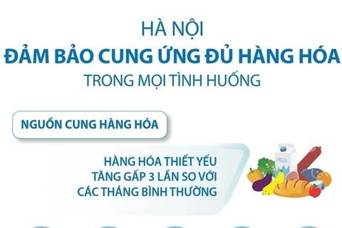 [Infographics] Hà Nội đảm bảo cung ứng hàng hóa trong mọi tình huống