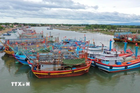Tàu thuyền của ngư dân tránh trú bão tại khu neo đậu Cửa Viêt. (Ảnh: Hồ Cầu/TTXVN)