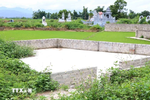 Hàng chục mét vuông đất nông nghiệp trồng lúa đã bị người dân xâm lấn, xây tường bao biến thành đất nghĩa trang. (Ảnh: Xuân Tiến/TTXVN)