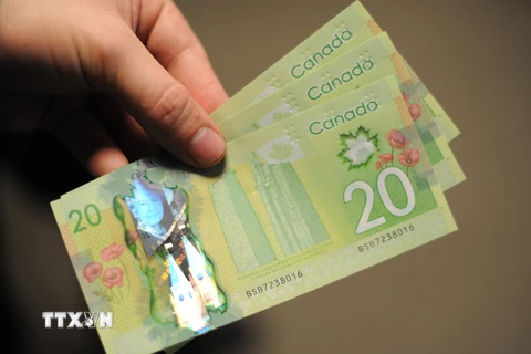 Tiền giấy mệnh giá 20 đôla Canada. (Ảnh: AFP/ TTXVN)