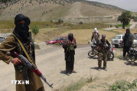 Các tay súng Taliban tại tỉnh Paktia, Afghanistan. (Ảnh: AFP/TTXVN)