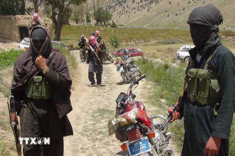 Các tay súng Taliban tại tỉnh Paktia, Afghanistan. (Ảnh: AFP/TTXVN)