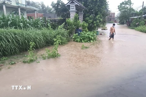 Mưa lũ gây ngập đường ở xã Hưng Lộc, huyện Thống Nhất, tỉnh Đồng Nai. (Ảnh : TTXVN phát)