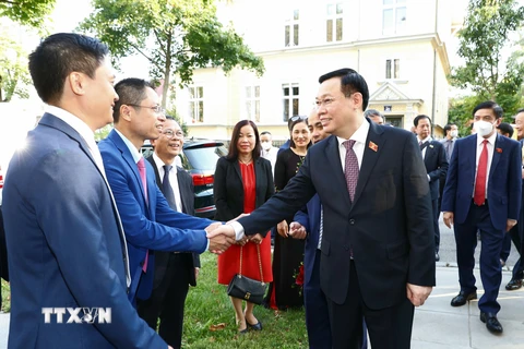 Chủ tịch Quốc hội Vương Đình Huệ với các đại biểu và nhân viên đại sứ quán Việt Nam tại Áo. (Ảnh: Doãn Tấn/TTXVN)