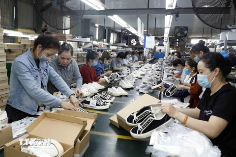 Sản xuất giày xuất khẩu tại Công ty TNHH Hóa dệt Hà Tây. (Ảnh: Trần Việt/TTXVN)
