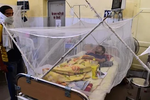 Một bệnh nhân sốt xuất huyết nằm trong màn chống muỗi trong khu điều trị của một bệnh viện ở Prayagraj. (Nguồn: AFP)