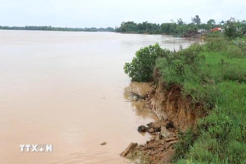 Bờ sông Thạch Hãn đoạn qua phường Đông Lương, thành phố Đông Hà, Quảng Trị bị sạt lở do mưa lớn. (Ảnh: Nguyên Lý/TTXVN)