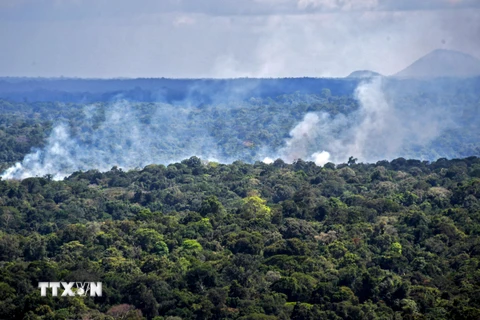 Khói bốc lên từ đám cháy rừng Amazon ở Oiapoque, bang Amapa, Brazil ngày 31/10/2020. (Ảnh: AFP/TTXVN)