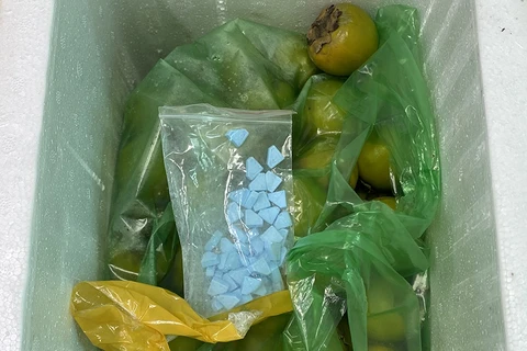 Ma túy tổng hợp được cất giấu trong thùng xốp đựng hoa quả. (Nguồn: thanhnien.vn)
