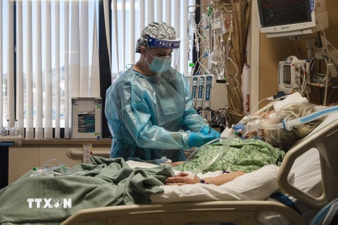 Nhân viên y tế điều trị cho bệnh nhân COVID-19 tại một bệnh viện ở Apple Valley, bang California, Mỹ ngày 11/1/2021. (Ảnh: AFP/TTXVN)