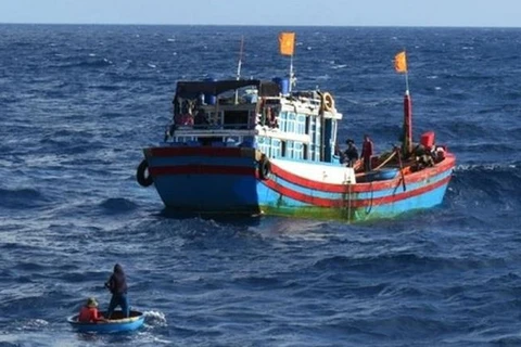Nghệ An: Khẩn trương tìm kiếm ngư dân rơi xuống biển khi đánh bắt cá