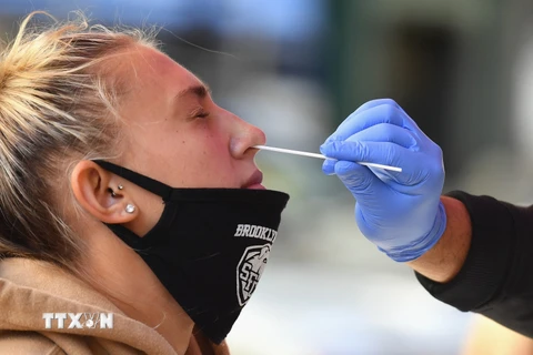 Nhân viên y tế lấy mẫu xét nghiệm COVID-19 tại New York, Mỹ. (Ảnh: AFP/TTXVN)