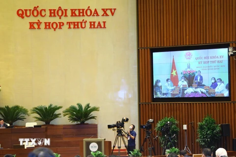 Đại biểu Quốc hội tỉnh Bình Định phát biểu trực tuyến. Ảnh: Văn Điệp/TTXVN)