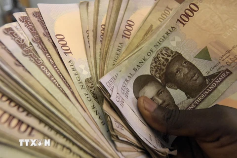 Tiền giấy mệnh giá 1000 naira của Nigeria. (Ảnh: AFP/TTXVN)