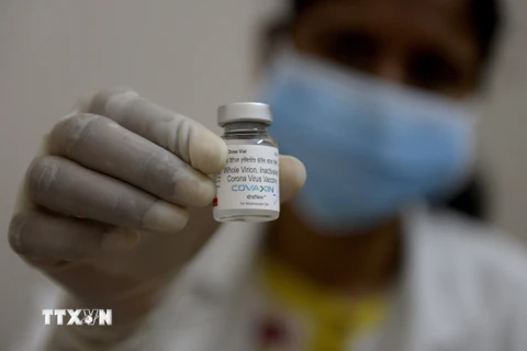 Vaccine ngừa COVID-19 Covaxin của Ấn Độ. (Ảnh: AFP/TTXVN)