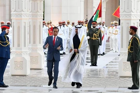 Thái tử UAE Sheikh Mohamed bin Zayed và Tổng thống Indonesia Joko Widodo tại Cung điện Qasr Al Watan. (Ảnh: asiabiznews.net)