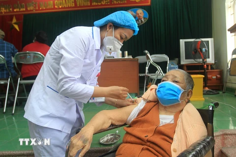 Tiêm vaccine cho người lớn tuổi tại bệnh viện đa khoa quận Ngô Quyền. (Ảnh: An Đăng/TTXVN)
