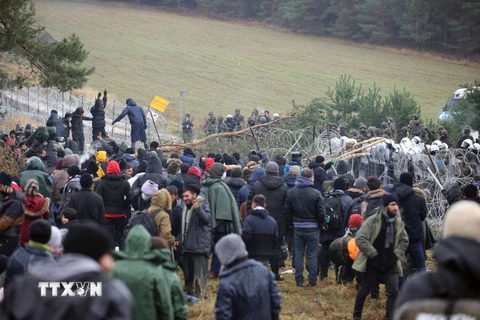 Người di cư tại khu vực Grodno, biên giới Belarus-Ba Lan, ngày 8/11/2021. (Ảnh: AFP/TTXVN)