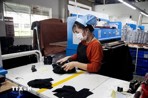 Công nhân làm giày da Công ty CP Thái Bình Kiên Giang, Khu công nghiệp Thạnh Lộc. (Ảnh: Hồng Đạt/TTXVN)