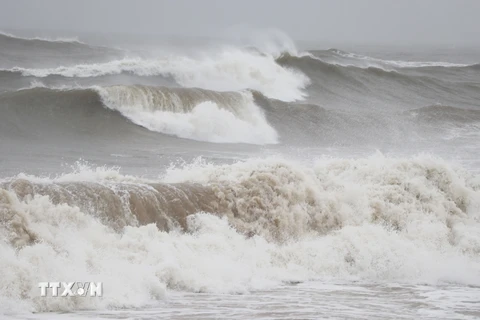Do ảnh hưởng của bão số 9, tại Phú Yên đang có mưa, sóng biển dâng cao từ 2-4m tại thôn Mỹ Quang Nam, xã An Chấn, huyện Tuy An, Phú Yên. (Ảnh: Phạm Cường/TTXVN)