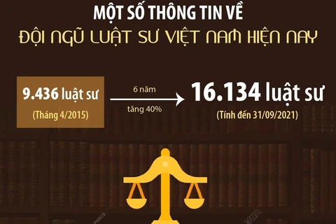 [Infographics] Một số thông tin về đội ngũ luật sư Việt Nam hiện nay