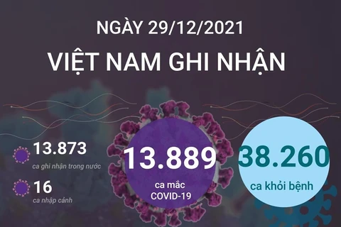 [Infographics] Tình hình dịch COVID-19 tại Việt Nam ngày 29/12