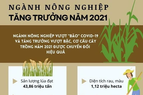[Infographics] Nông nghiệp Việt Nam tăng trưởng vượt bậc năm 2021