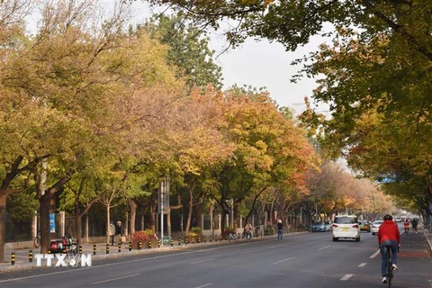 Đường phố Bắc Kinh mùa Thu. (Ảnh: Mạnh Cường/TTXVN)