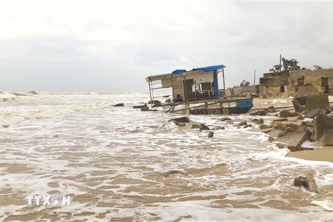 Nhiều làng ven biển ở Thừa Thiên-Huế bị xóa sổ do nạn xâm thực. (Ảnh: Tường Vi/TTXVN)
