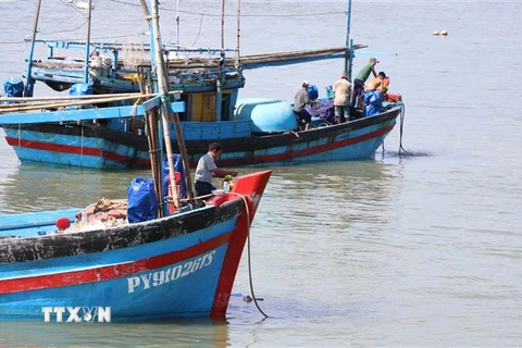 Các thuyền đều hướng về cửa biển chủ tàu làm lễ cúng biển cầu mong cho anh em thuyền viên khỏe mạnh và có một vụ đánh bắt mới tôm, cá đầy khoang. (Ảnh: Phạm Cường/TTXVN)