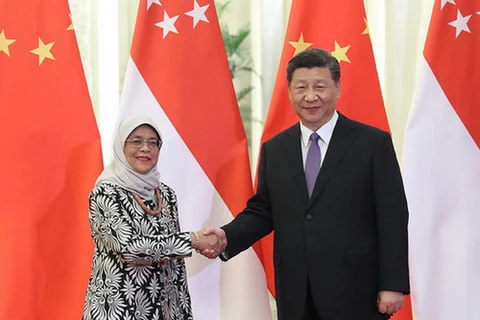 Chủ tịch Trung Quốc Tập Cận Bình và Tổng thống Halimah Yacob của Singapore. (Nguồn: mfa.gov.cn)