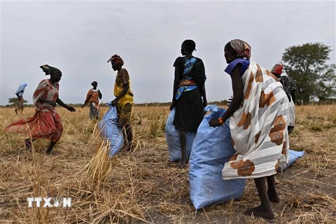Người dân nhận thực phẩm cứu trợ tại Ayod, Nam Sudan ngày 6/2/2020. (Ảnh: AFP/TTXVN)