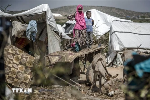 Khu lều tạm dành cho người dân bị ảnh hưởng bởi lũ lụt và hạn hán tại Beledweyne, Somalia. (Ảnh: AFP/TTXVN)