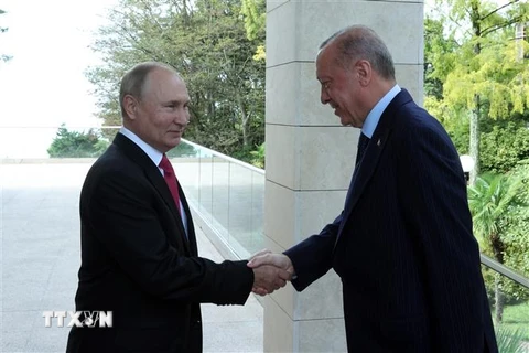 Tổng thống Nga Vladimir Putin (trái) và Tổng thống Thổ Nhĩ Kỳ Recep Tayyip Erdogan tại cuộc gặp ở Sochi, Nga, ngày 29/9/2021. (Ảnh: AFP/TTXVN)