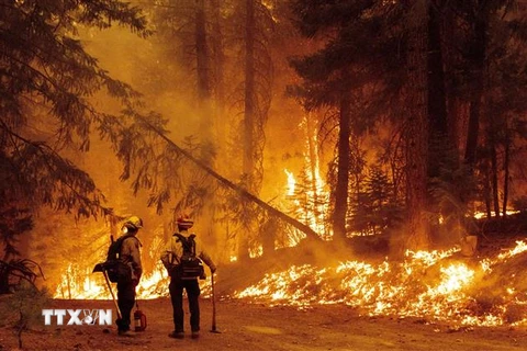 Cháy rừng dữ dội tại cộng đồng Prattville ở hạt Plumas, California (Mỹ) ngày 23/7/2021. (Ảnh: AFP/TTXVN)