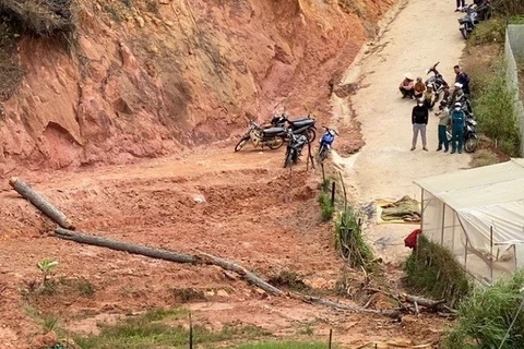 Hiện trường cây thông khô gãy đổ đè chết người đàn ông rửa tay bên suối. (Nguồn: thanhnien.vn)