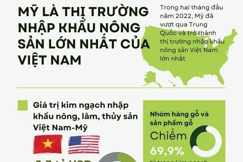 Mỹ trở thành thị trường nhập khẩu lớn nhất của Việt Nam