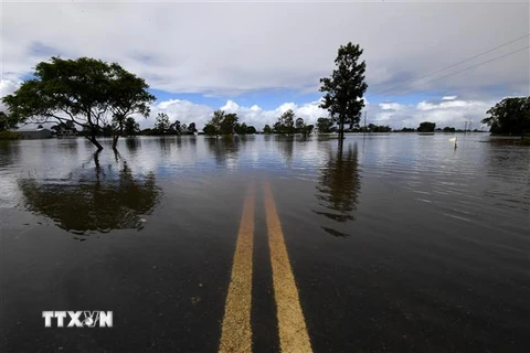Cảnh ngập lụt tại khu vực Lawrence, New South Wales, Australia, ngày 1/3/2022. (Ảnh: AFP/TTXVN)