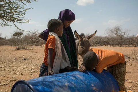 Hạn hán tại Beledweyne, Somalia khiến nhiều nông dân buộc phải rời khỏi khu vực này để tìm kiếm nguồn nước và đồng cỏ tốt hơn cho gia súc. (Nguồn: aljazeera.com)