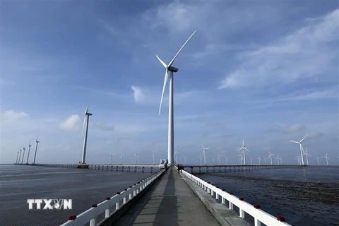Nhà máy Điện gió Bạc Liêu có 62 turbin điện với tổng công suất dự tính 99MW. (Ảnh: Phan Tuấn Anh/TTXVN)