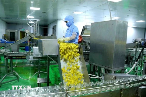 Dây chuyền đóng lọ ớt xuất khẩu tại nhà máy chế biến của Công ty CP chế biến thực phẩm xuất khẩu GOC. (Ảnh: Vũ Sinh/TTXVN)