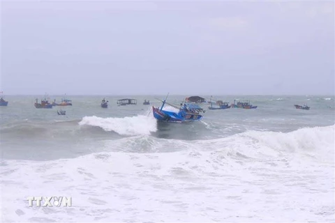 Mưa to kèm giông lốc làm hư hại tàu thuyền, lồng bè của ngư dân tại xã Nhơn Lý, thành phố Quy Nhơn, tỉnh Bình Định. (Ảnh: TTXVN phát)