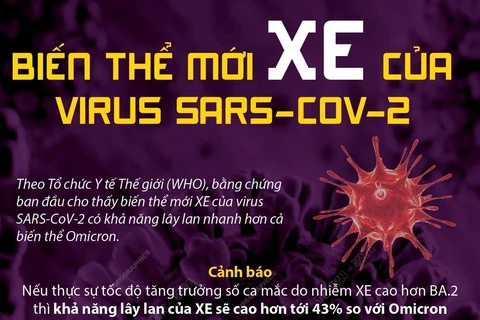 [Infographics] Biến thể mới XE của virus SARS-CoV-2