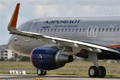 Máy bay của Hãng hàng không Aeroflot của Nga. (Nguồn: AFP/TTXVN)